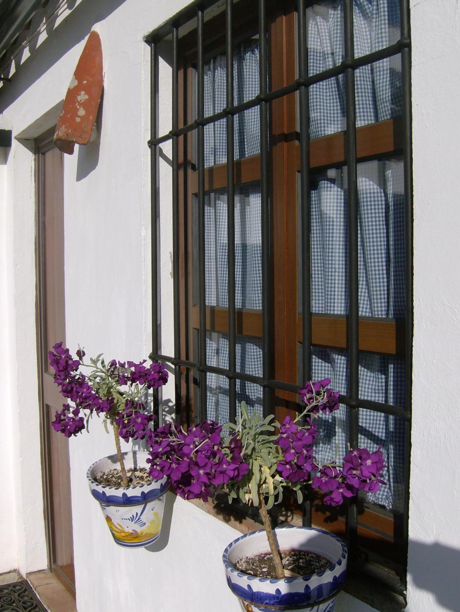 Гостевой дом Casa Rural Y Restaurante Casa Adriano Аланис Экстерьер фото